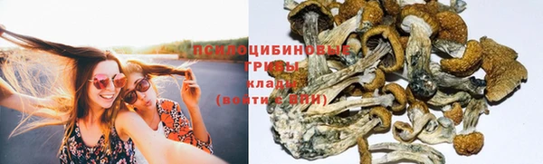 а пвп мука Арсеньев