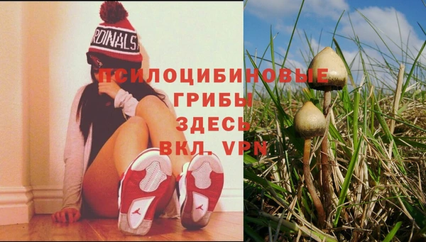 а пвп мука Арсеньев