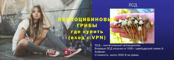 герыч Няндома