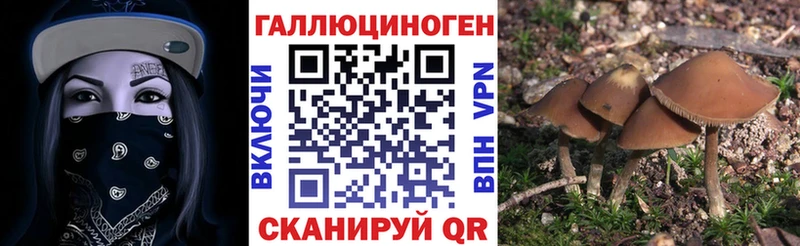 Псилоцибиновые грибы мицелий Сысерть