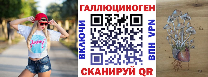 сколько стоит  Сысерть  Псилоцибиновые грибы мицелий 